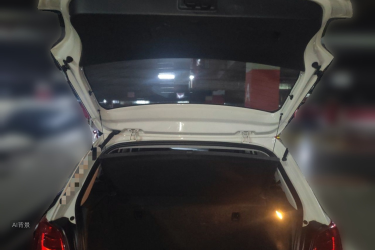 Volkswagen Polo 2016 car image #21