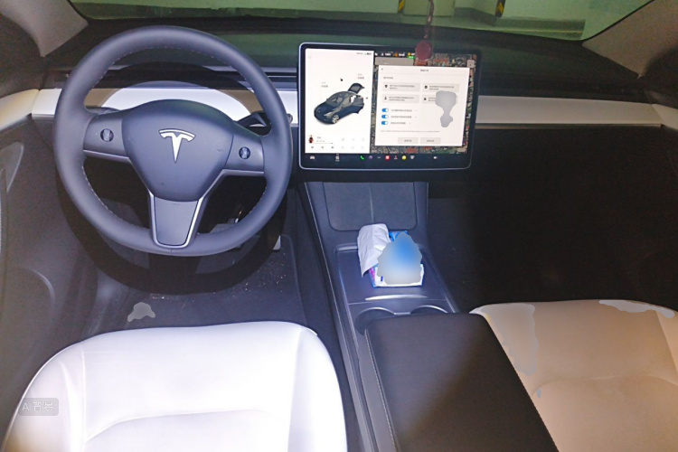 Tesla Model Y 2021 car image #11