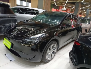 Tesla Model Y 2023 Tesla Model Y 2023 car image
