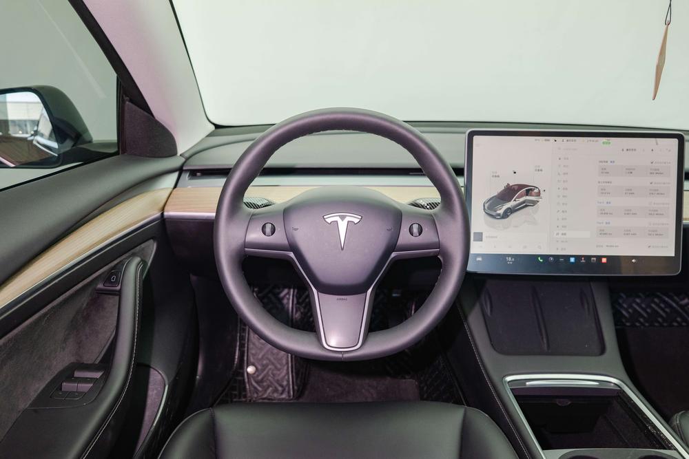 Tesla Model 3 2023 car image #17
