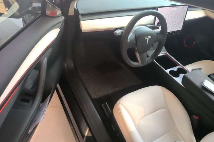 Tesla Model 3 2021 immagine di auto #16