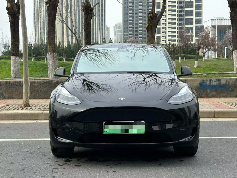 Tesla Model Y 2023 car image 