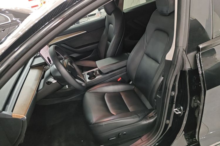 Tesla Model 3 2021 car image #15