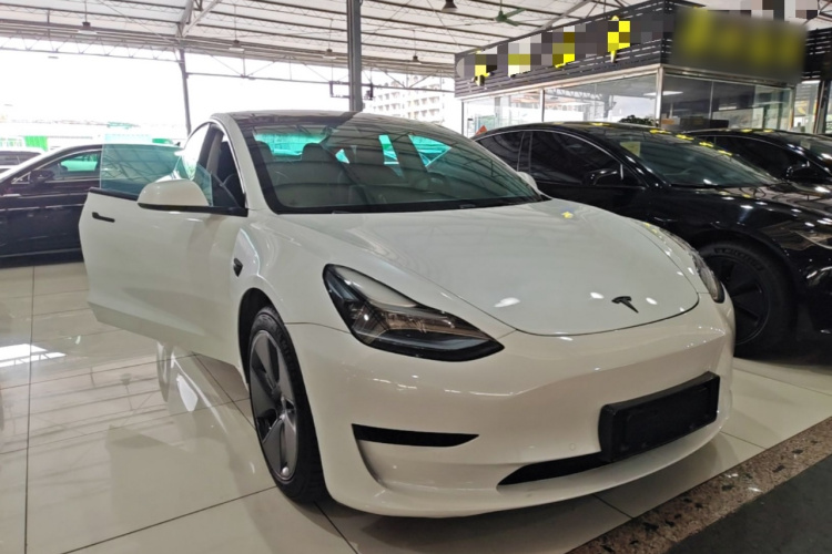 Tesla Model 3 2022 #4 Tesla Model 3 2022 immagine di auto #4