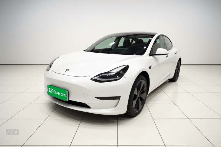 Tesla Model 3 2021 #2 Tesla Model 3 2021 car image #2