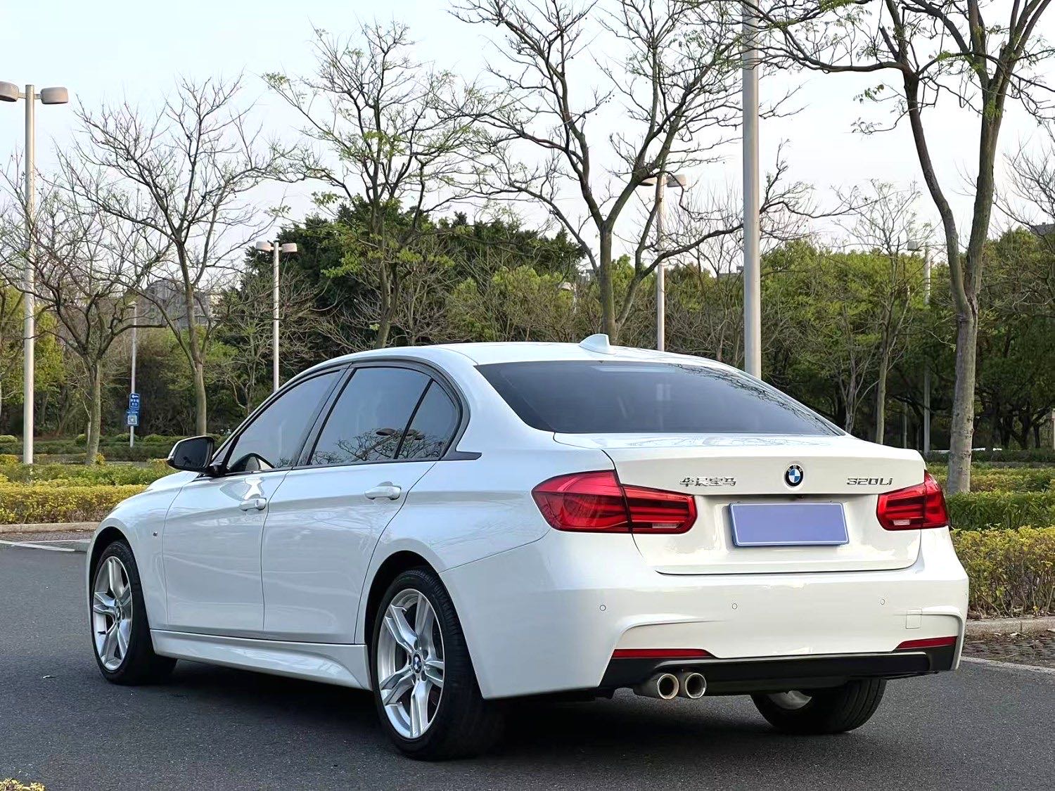 BMW 3 Series 2019 car image #7