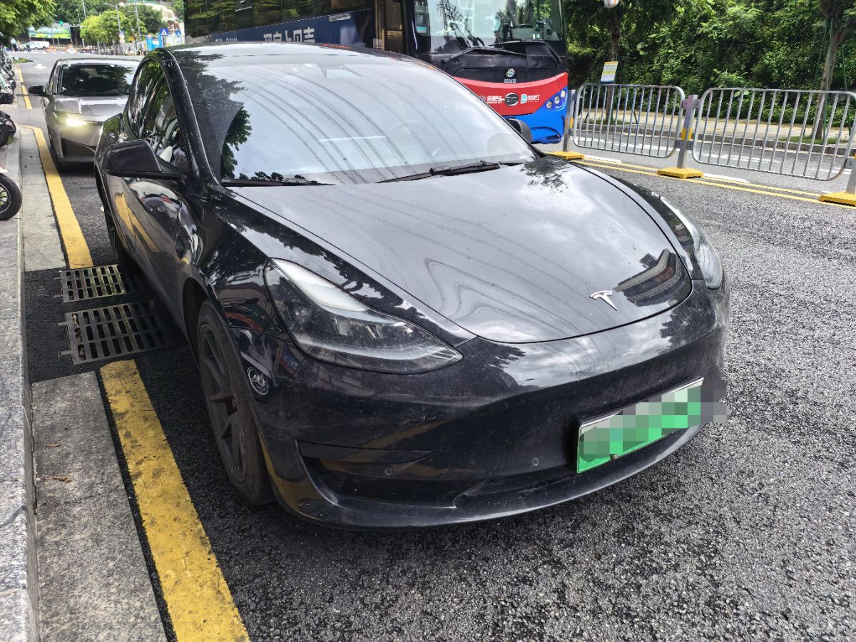 Tesla Model 3 2021 #3 Tesla Model 3 2021 car image #3