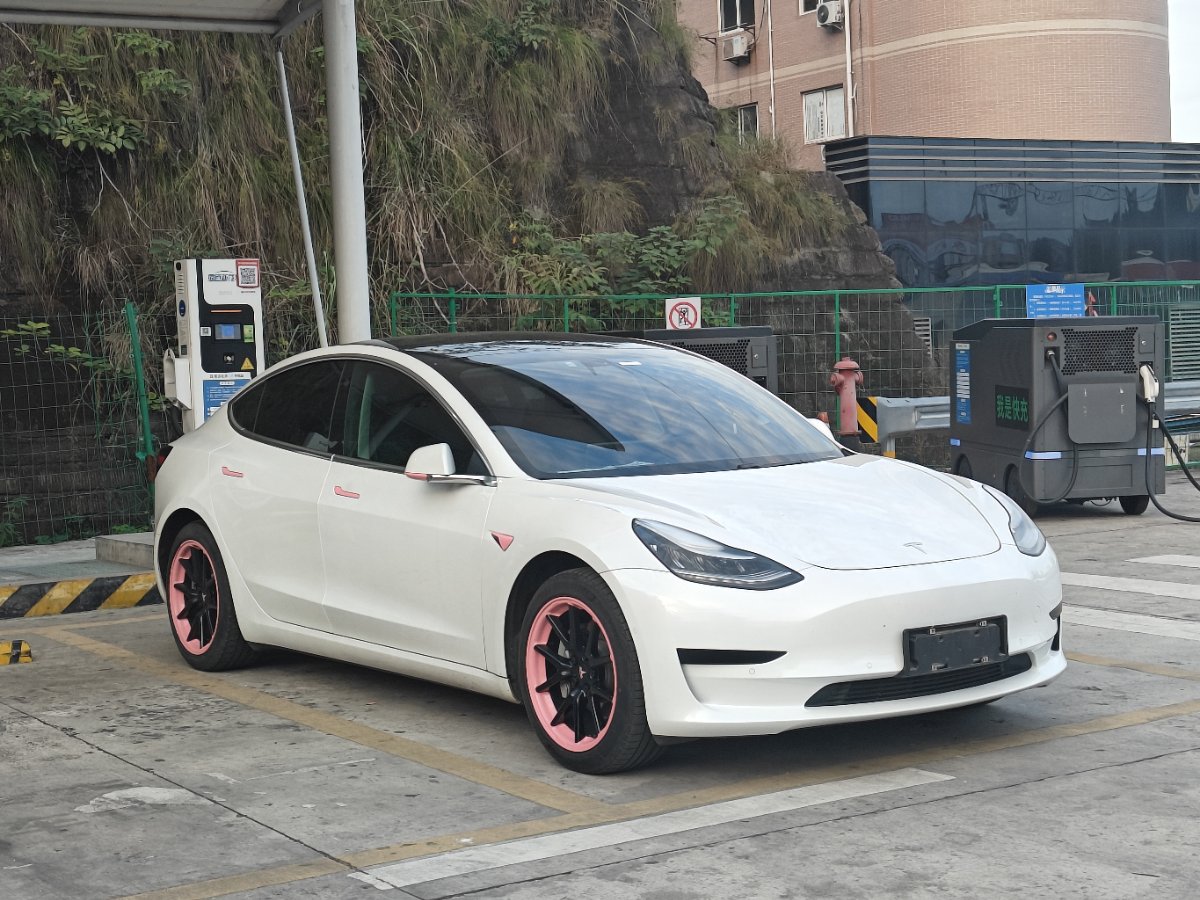 Tesla Model 3 2020 car image #3