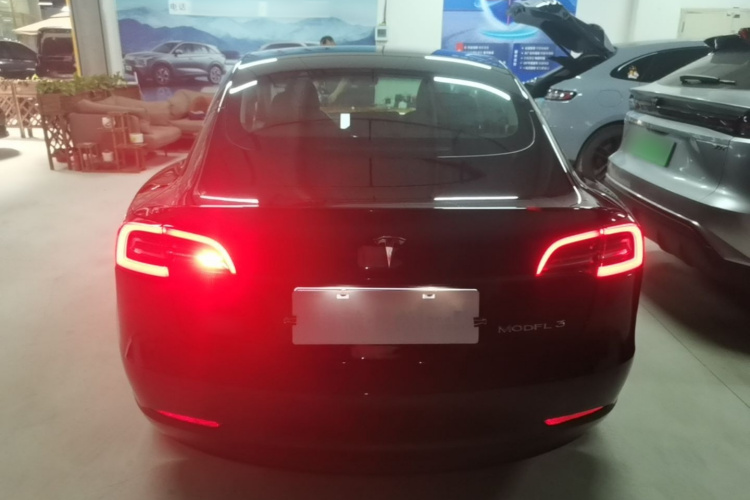 Tesla Model 3 2020 car image #6