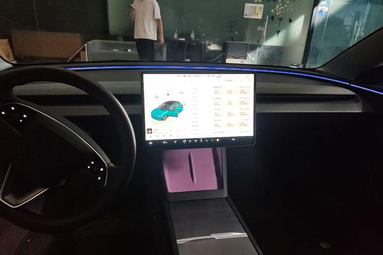 Tesla Model 3 2024 immagine di auto #13