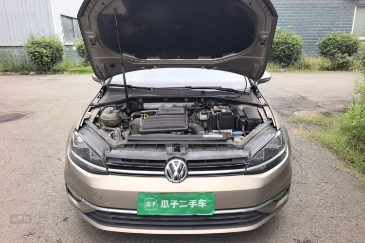 Volkswagen Golf 2019 #22 Volkswagen Golf 2019 car image #22