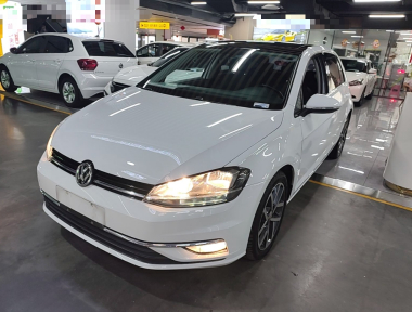 Volkswagen Golf 2019 Volkswagen Golf 2019 car image