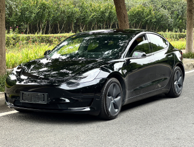 Tesla Model 3 2020 immagine di auto 
