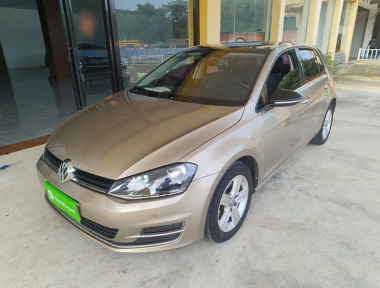 Volkswagen Golf 2017 Volkswagen Golf 2017 car image