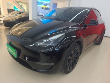 Tesla Model Y 2023 Tesla Model Y 2023 car image