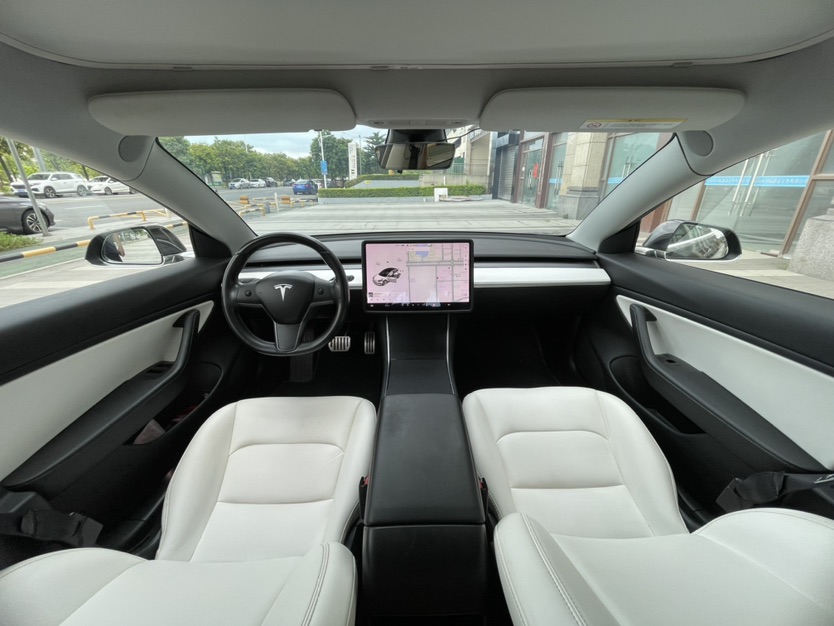 Tesla Model 3 (Imported) 2019 car image #7