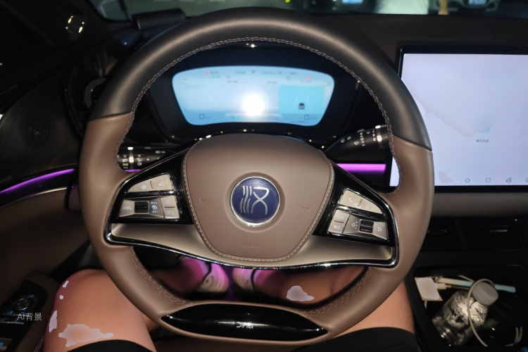 BYD Han 2022 immagine di auto #12