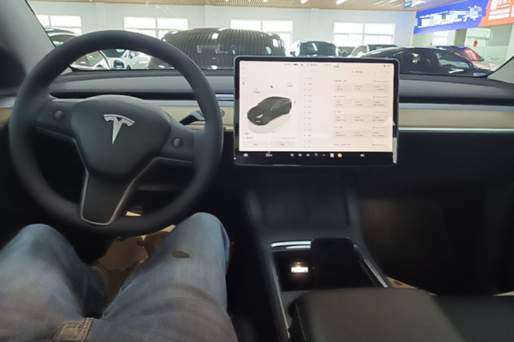 Tesla Model Y 2023 #11 Tesla Model Y 2023 car image #11