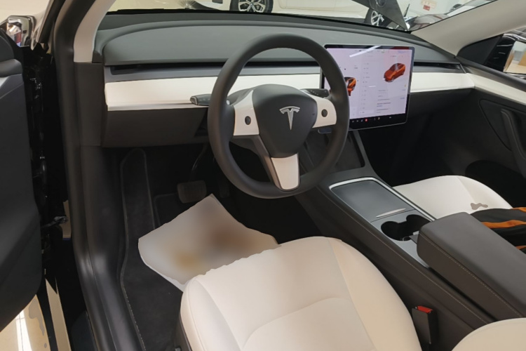 Tesla Model Y 2021 #10 Tesla Model Y 2021 car image #10