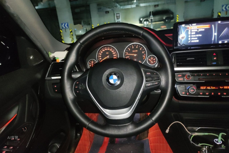 BMW 3 Series 2016 car image #12