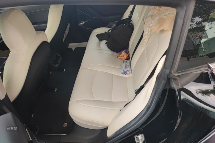 Tesla Model 3 2020 #19 Tesla Model 3 2020 car image #19