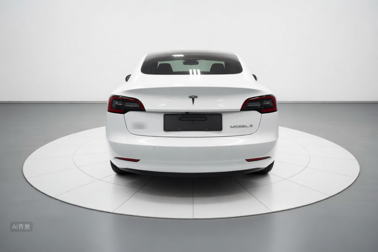 Tesla Model 3 2021 car image #6
