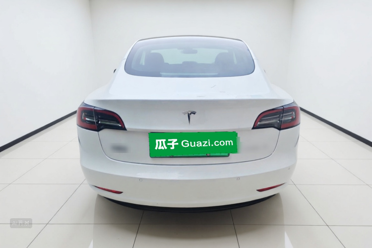 Tesla Model 3 2021 car image #6