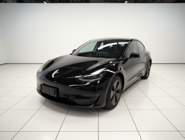 Tesla Model 3 2021 Tesla Model 3 2021 car image