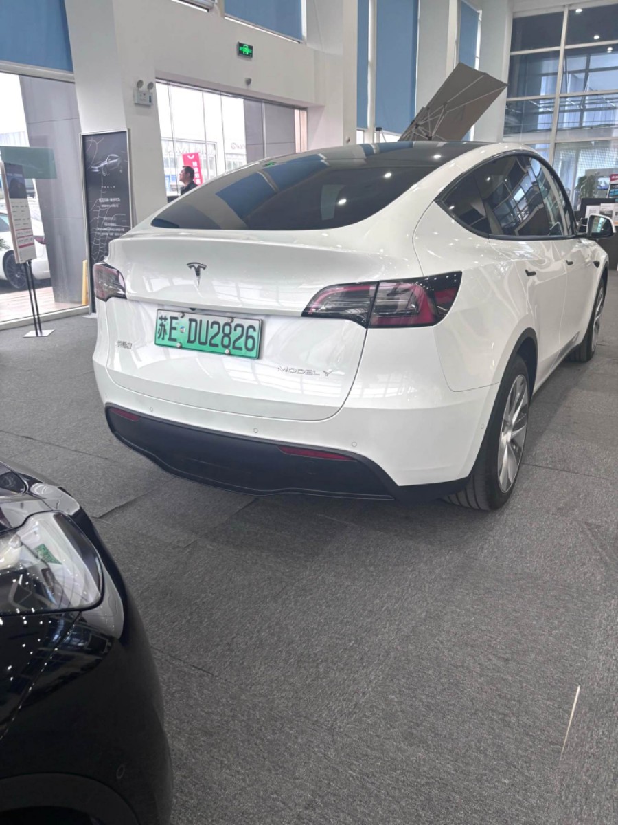Tesla Model Y 2022 car image #8