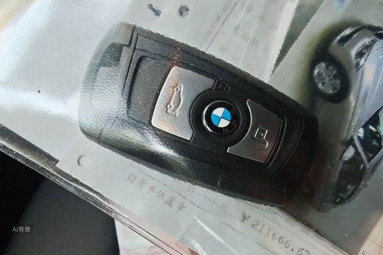 BMW 3 Series 2016 car image #10