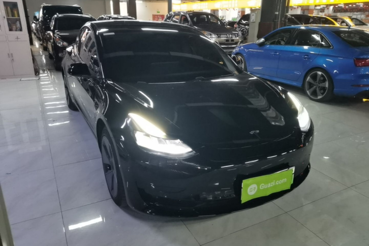 Tesla Model 3 2021 #5 Tesla Model 3 2021 car image #5