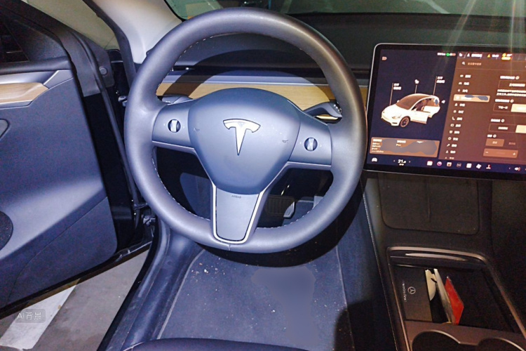 Tesla Model Y 2021 car image #12