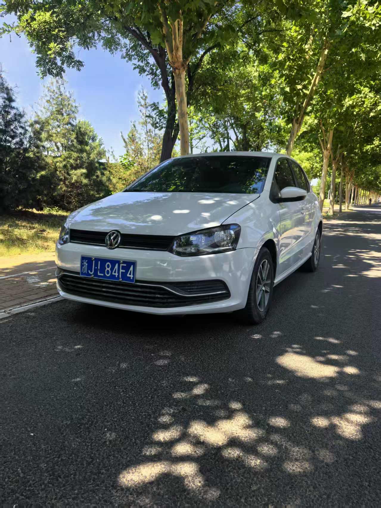 Volkswagen Polo 2016 Volkswagen Polo 2016 car image