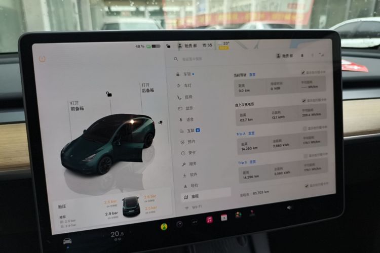 Tesla Model Y 2023 car image #12