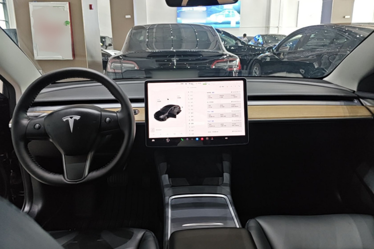 Tesla Model 3 2021 #10 Tesla Model 3 2021 car image #10