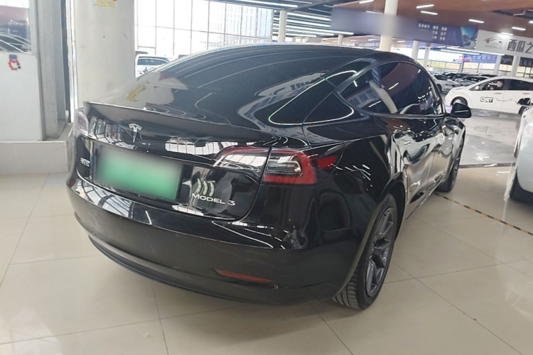Tesla Model 3 2021 car image #7