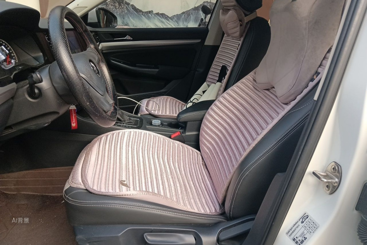 Volkswagen Bora 2020 imagen de coche #17