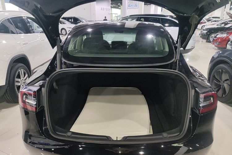 Tesla Model 3 2021 #19 Tesla Model 3 2021 car image #19