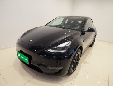 Tesla Model Y 2021 Tesla Model Y 2021 car image