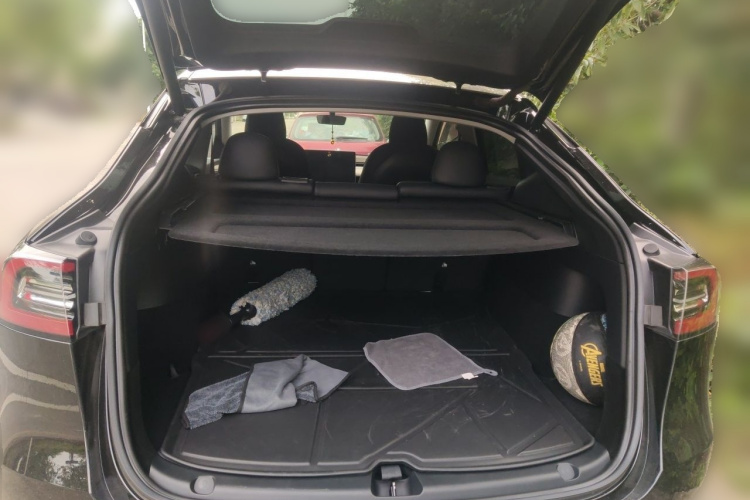 Tesla Model Y 2021 car image #21
