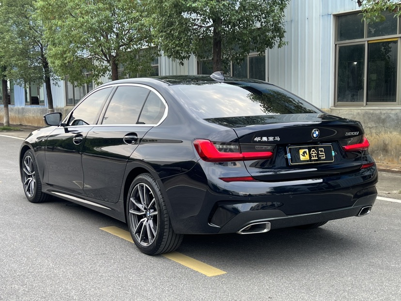 BMW 3 Series 2021 car image #9