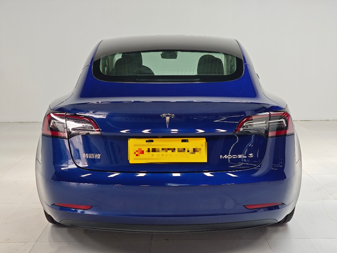 Tesla Model 3 2020 car image #7