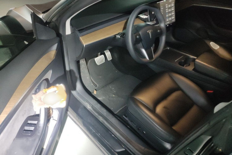 Tesla Model 3 2021 #13 Tesla Model 3 2021 car image #13
