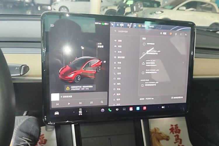 Tesla Model 3 2020 car image #13