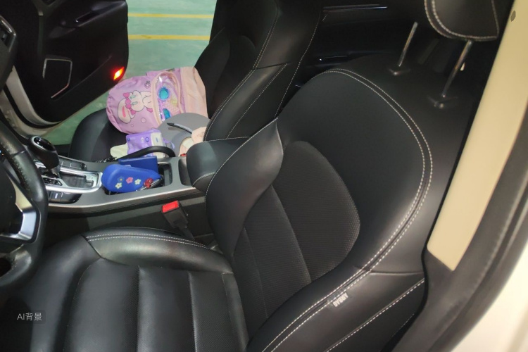 GEELY Emgrand GS 2016 car image #17