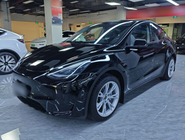 Tesla Model Y 2023 car image 