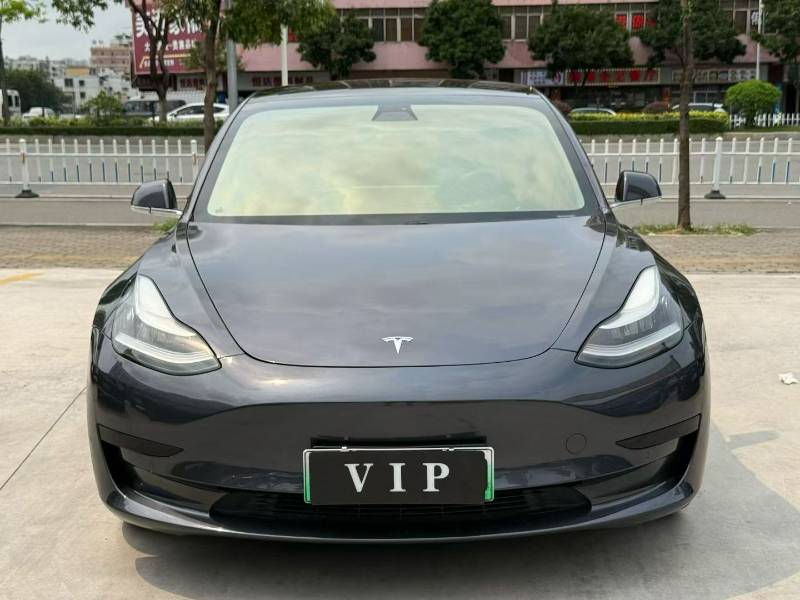 Tesla Model 3 2020 #2 Tesla Model 3 2020 car image #2