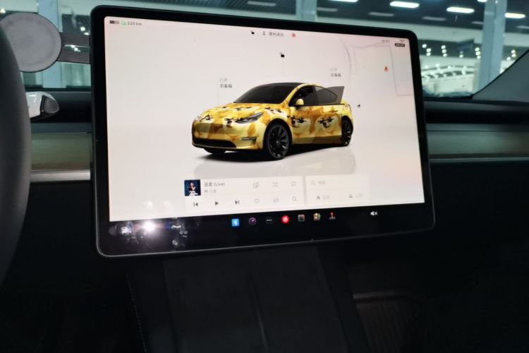 Tesla Model Y 2023 car image #13