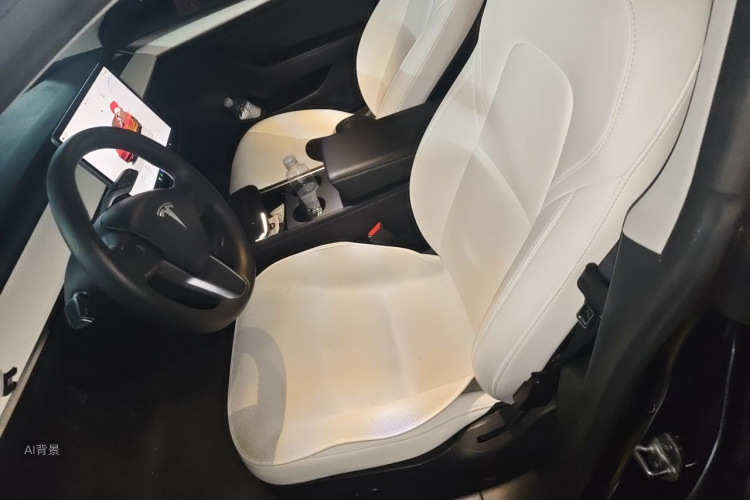 Tesla Model 3 2022 #17 Tesla Model 3 2022 image de voiture #17
