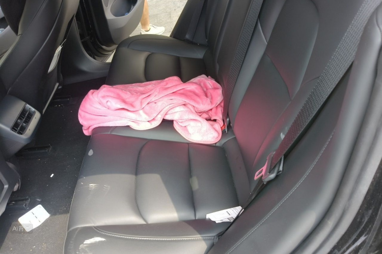 Tesla Model 3 2021 car image #19